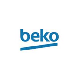 Beko relies on PRZWT's overseas media invitation service to make the conference go smoothly