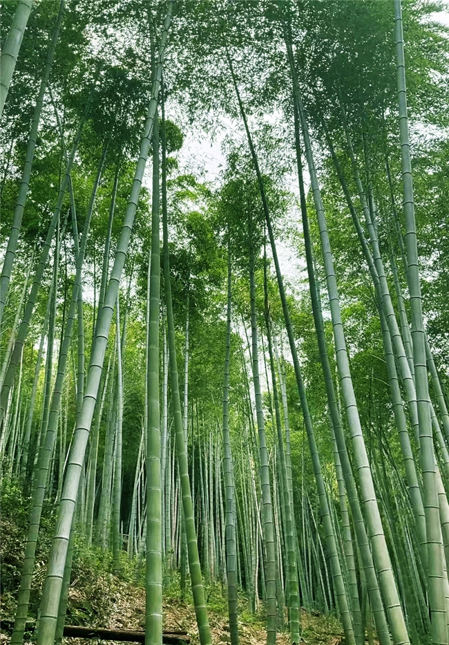 云下秘籍景区：溯溪探秘、溶洞微醺，一站式定义山野度假新体验