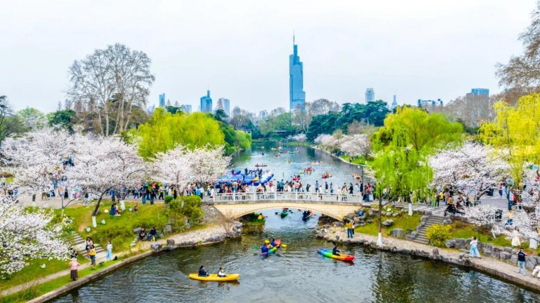 春信有约 米香花舞——“水韵·苏米”全国行在南京活动走进玄武湖