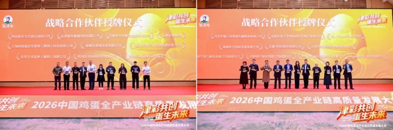 津彩共创，蛋生未来！2026新津绿色食品产业生态共创大会暨中国鸡蛋全产业链高质量发展大会隆重举办