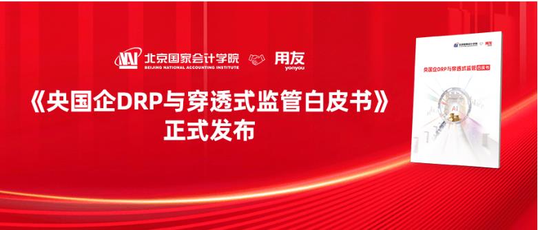 穿透见实效，AI创价值 | 《央国企DRP与穿透式监管白皮书》正式发布