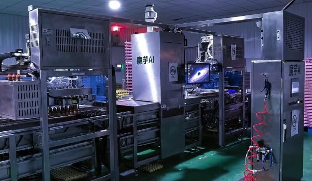 魔芋AI机器人商用落地，蛋鸡智慧养殖迈入AI检测时代
