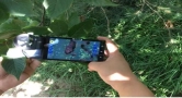 Anyty（艾尼提）便携式显微镜赋能植保一线，让病虫害无处遁形