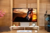 TCL显示器32X3A：OLED + 全能旗舰，精准适配多场景